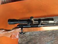 Winchester Model 141- Bolt Action - .22 LR -Rifle 