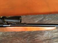 Winchester Model 141- Bolt Action - .22 LR -Rifle 