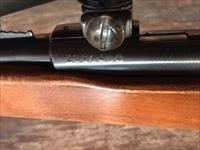 Winchester Model 141- Bolt Action - .22 LR -Rifle 
