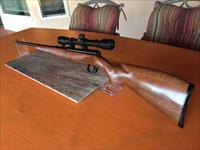Winchester Model 141- Bolt Action - .22 LR -Rifle 
