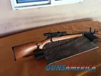 Winchester Model 131 - Bolt Action - .22 LR Rifle