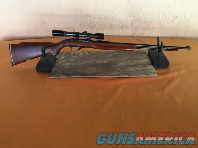 J.C. Higgins Model 34 - Ted Williams Series - Semi -Auto .22 LR Rifle 