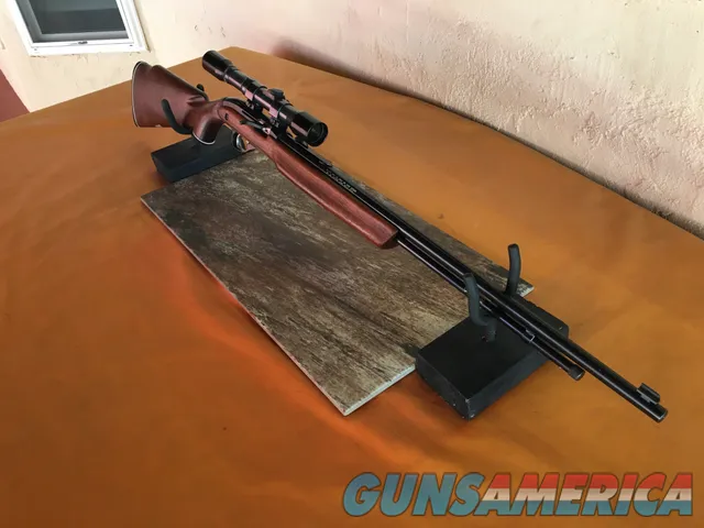 J.C. Higgins Model 34 - Ted Williams Series - Semi -Auto .22 LR Rifle 