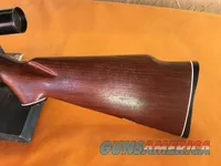 J.C. Higgins Model 34 - Ted Williams Series - Semi -Auto .22 LR Rifle 