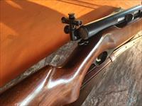 Mossberg Model 51 M - Semi Auto- .22 LR Rifle