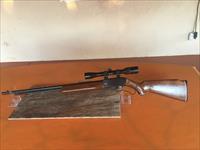 Mossberg Model 400 Palomino - Lever Action - .22 LR Rifle