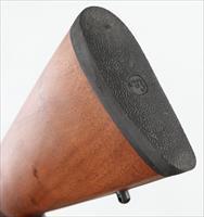 CZ 527 AMERICAN 6.5 GRENDEL RIFLE. NIB