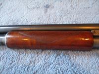 Winchester Model 1897 Tournament Grade Img-5