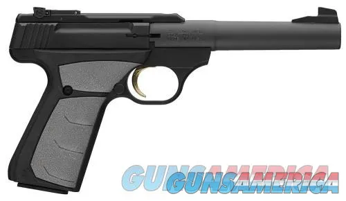 Stainless Steel Browning Buck Mark Rimfire Pistol - Full Size