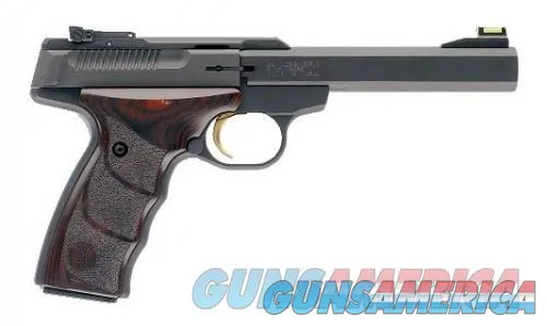 Browning Buckmark 22 with Ultra DX Grip - 5.5 Mount!