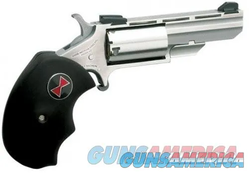 Stainless Black Widow with Adjustable Sights - NAA 22MAG (75 characters)