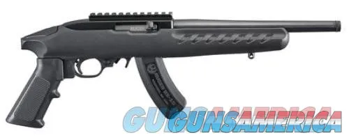 Ruger 22 Charger: Compact &amp; Powerful (Large-Format)