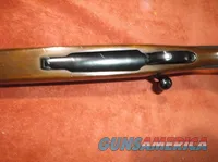 Ruger mod 77rs