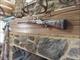 Stainless Knight Revolution Muzzleloader