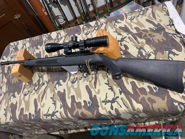 Ruger 10-22  Synthetic   22 lr.
