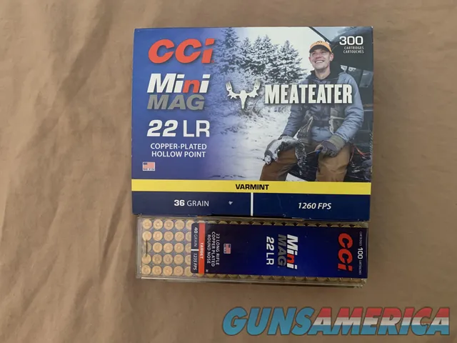 22 Lr Ammo