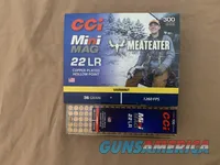 22 Lr Ammo