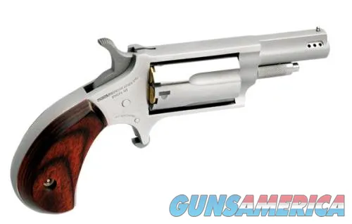 NAA 22 Magnum 22MCP