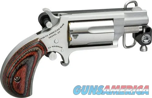 North American Arms NAA 22MSBBS