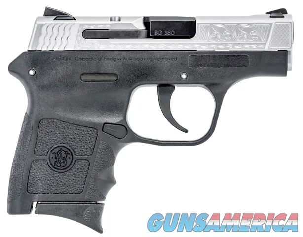 Smith & Wesson 10110 M&P Bodyguard Micro-Compact Frame 380 ACP 6+1 2.75"
