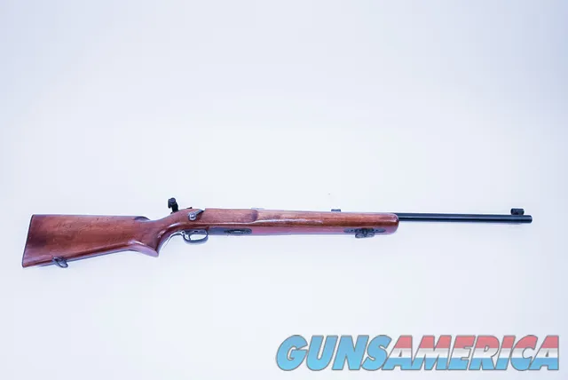 Remington Other513 Target  Img-4