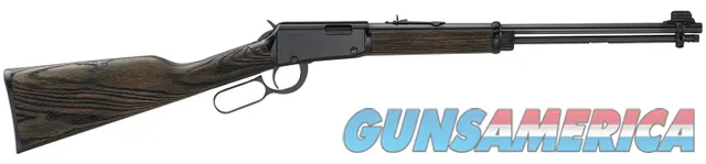 Henry H001GG Garden Gun Smoothbore Full Size 22 LR/Shotshell 15+1 18.50"
