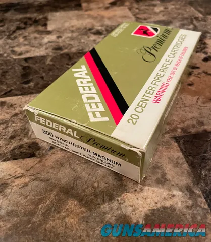Federal 300 WIN Mag 200 GR