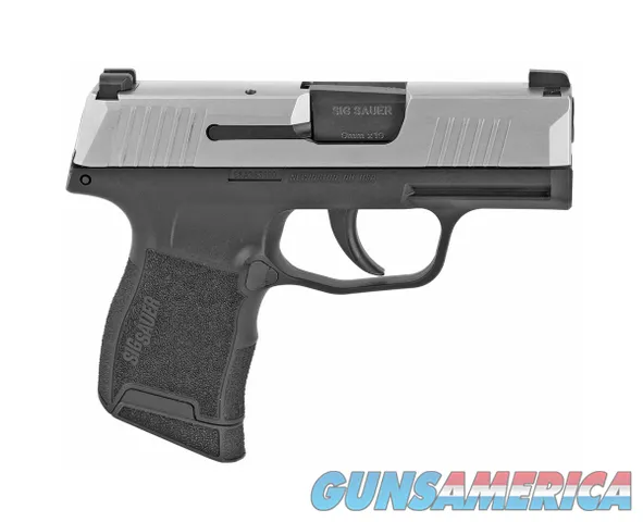 Sig Sauer P365 Stainless Slide