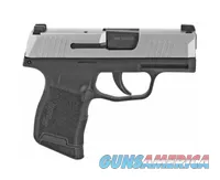 Sig Sauer P365 Stainless Slide