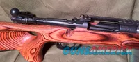 Mauser Gew98 243win