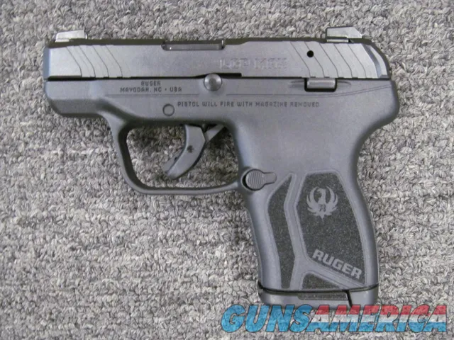 Ruger LCP Max (13743)