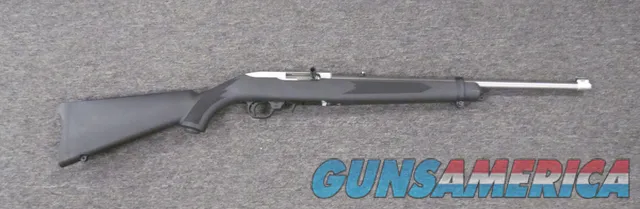 Ruger 10/22 Stainless