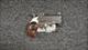 Bond Arms Texas Defender .45LC.410