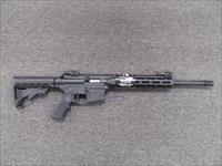Smith & Wesson M&P 15-22 Sport (10208)