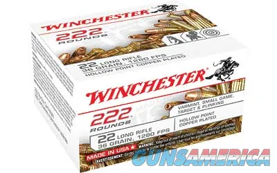 Winchester Repeating Arms Rimfire 22LR222HP