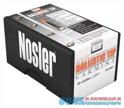 Nosler Ballistic Tip Varmint 39560