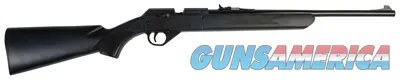 Daisy PowerLine 35 .177 BB or Pellet Rifle 990035-603
