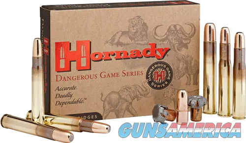 Hornady Dangerous Game DGX 82336