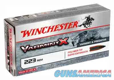 Winchester Repeating Arms Super-X Centerfire Rifle X223P1