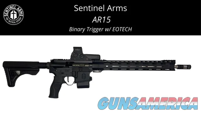 AR15 with Binary Trigger & EOTECH