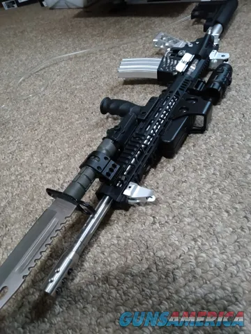 Silver AR 15 custom 