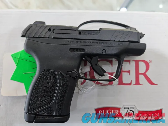 Ruger LCP MAX 736676137343 Img-2