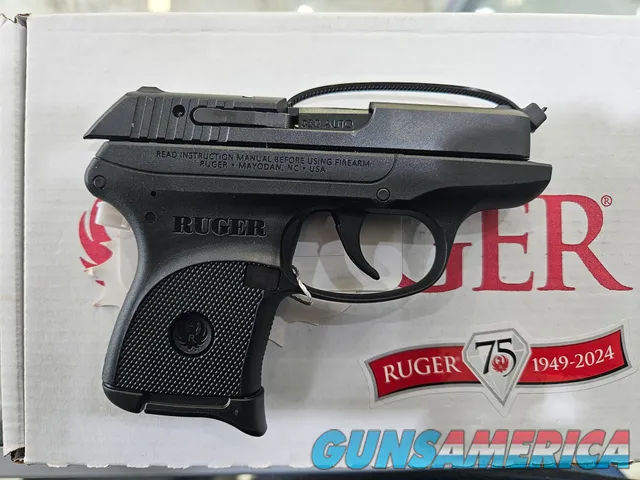 Ruger LCP 736676037445 Img-2