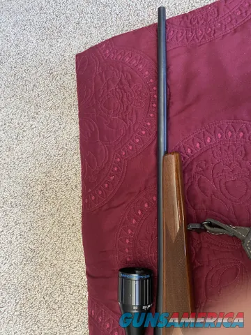 Weatherby Mark V H258270 Img-8