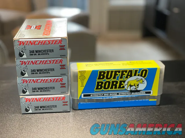 348 Winchester Ammo