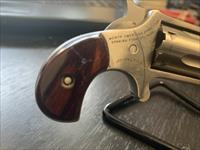 North American Arms Mini Revolver Img-4