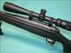 Remington 770 .243Win