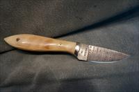 Horsehead Creek Custom Damascus Knife with Bighorn handle Img-2