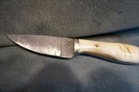 Horsehead Creek Custom Damascus Knife with Bighorn handle Img-5