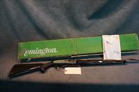 Remington Nylon 66 Apache Black Chrome w/box Img-1